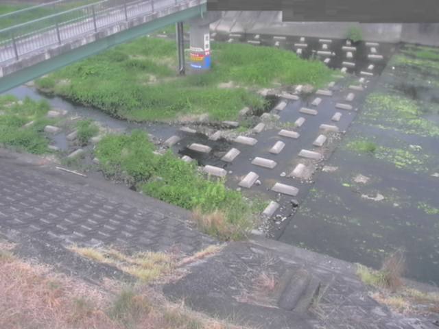 監視画像