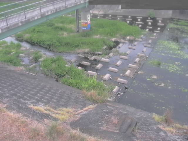 監視画像