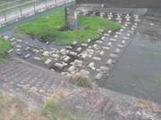 平木橋
