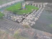 平木橋