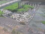 2025-07-12 10:00:00 +0900