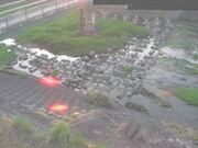 平木橋