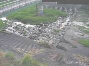 平木橋