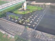平木橋