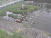 平木橋