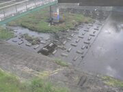 平木橋