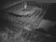 2025-12-05 05:00:00 +0900