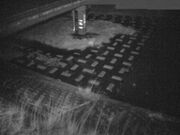 2026-02-01 20:00:00 +0900