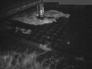 2026-03-23 03:00:00 +0900