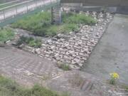平木橋