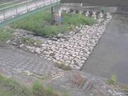 平木橋
