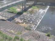 平木橋