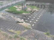 平木橋