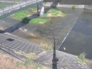 平木橋