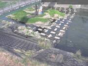 平木橋