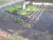 平木橋