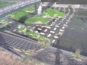 平木橋