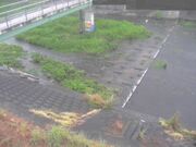 平木橋
