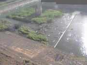 平木橋
