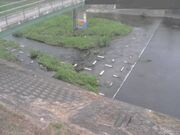 平木橋