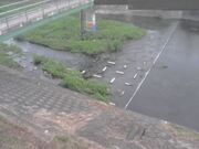 平木橋
