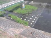 平木橋