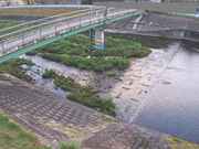 平木橋