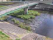 平木橋