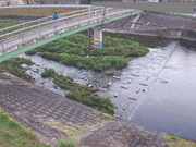 平木橋