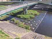 平木橋