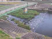 平木橋