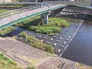 平木橋