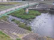 平木橋