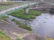 平木橋