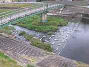 平木橋