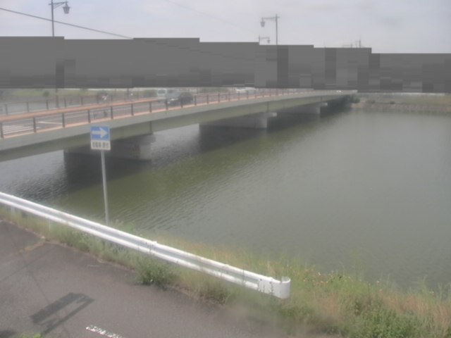 拡大画像