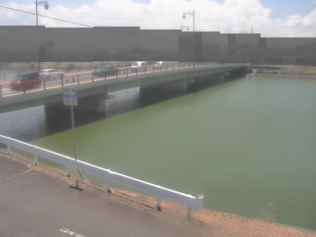 拡大画像