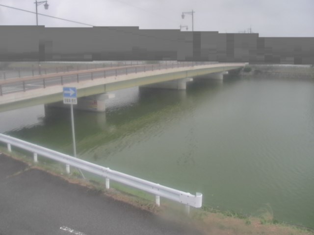 拡大画像
