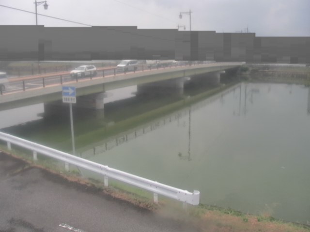 拡大画像