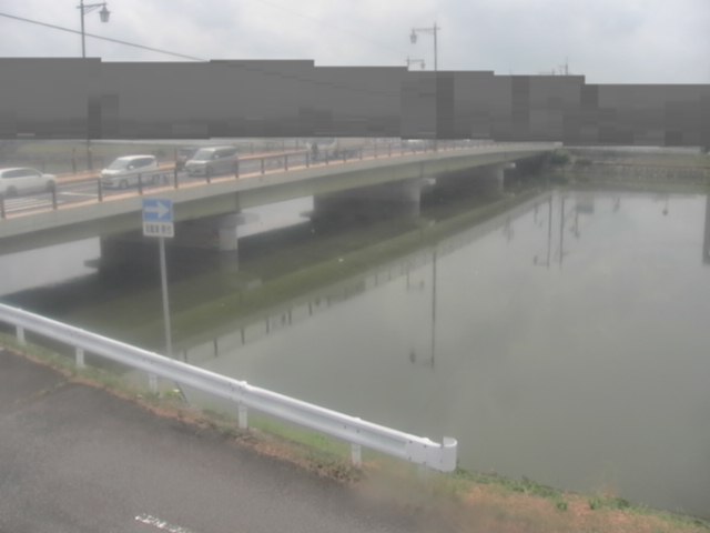 拡大画像
