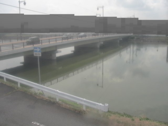 拡大画像