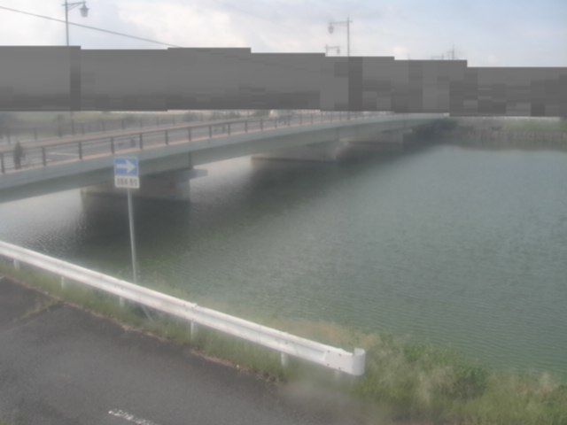 拡大画像