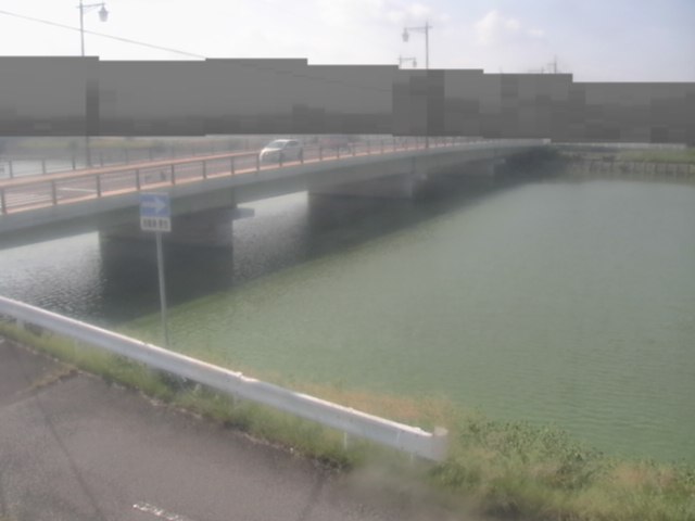 拡大画像