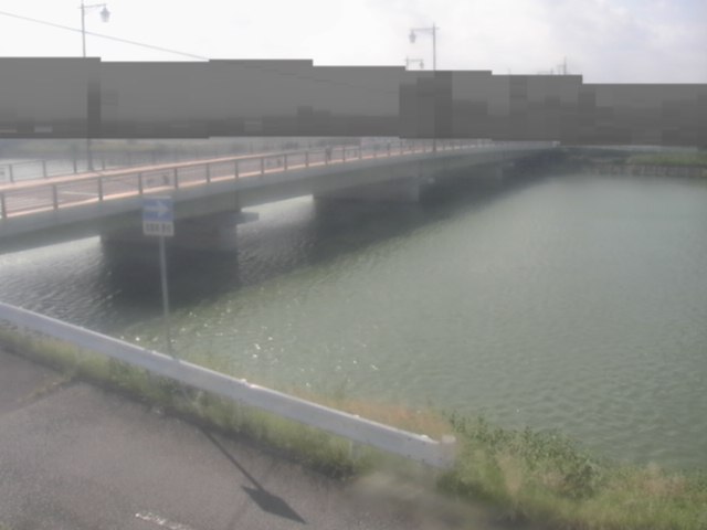 拡大画像