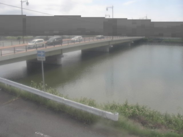 拡大画像