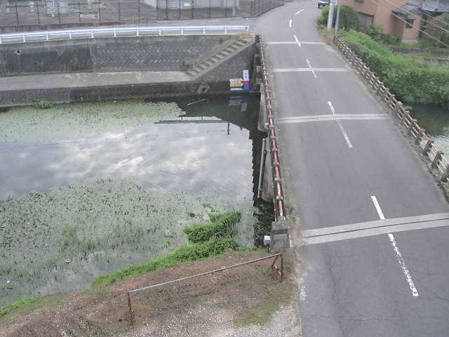 監視画像