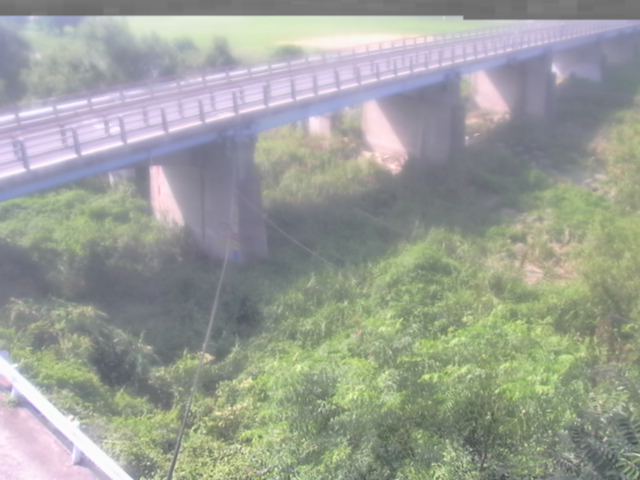 拡大画像