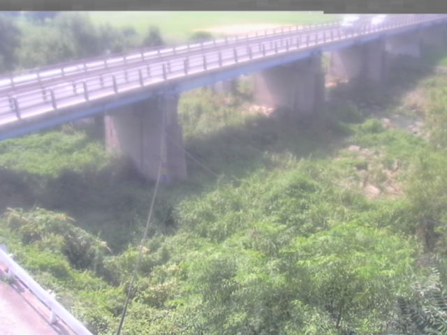 拡大画像
