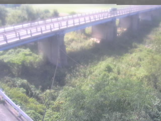拡大画像