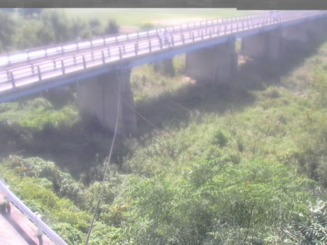 監視画像